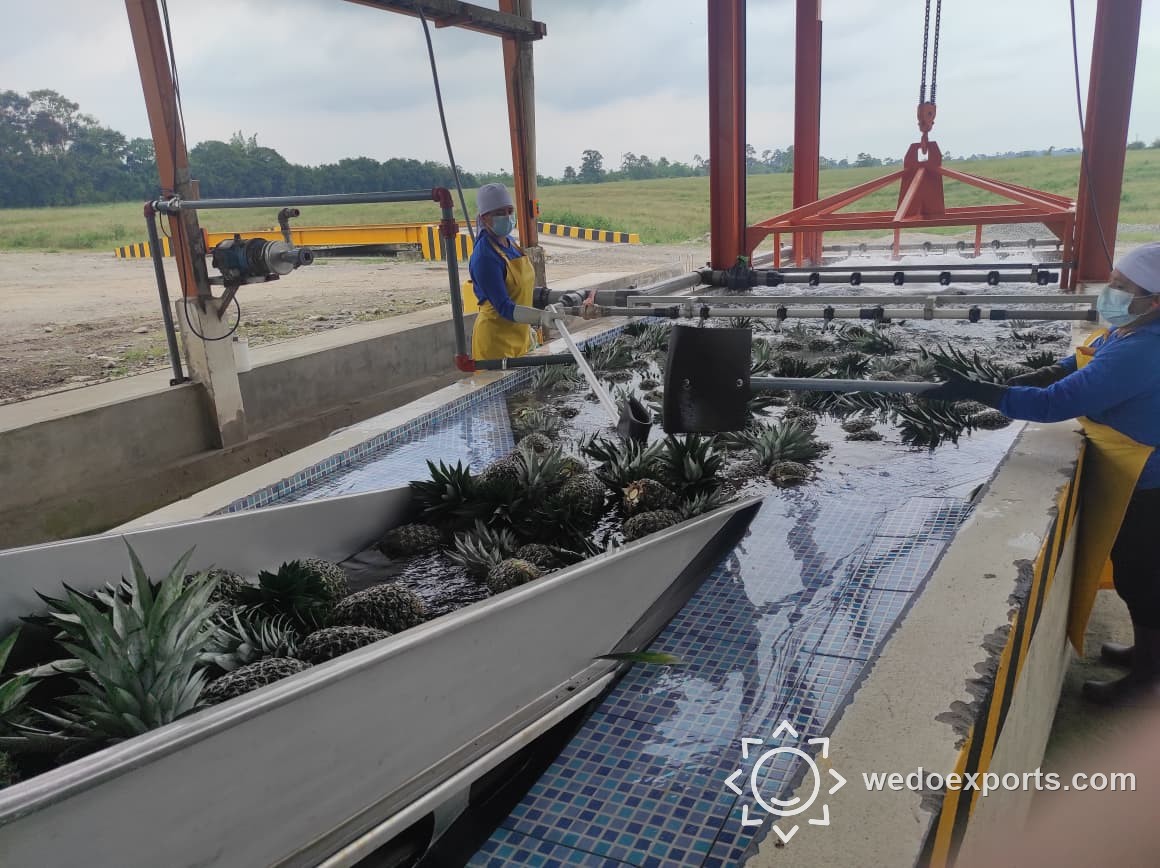 Washing tank