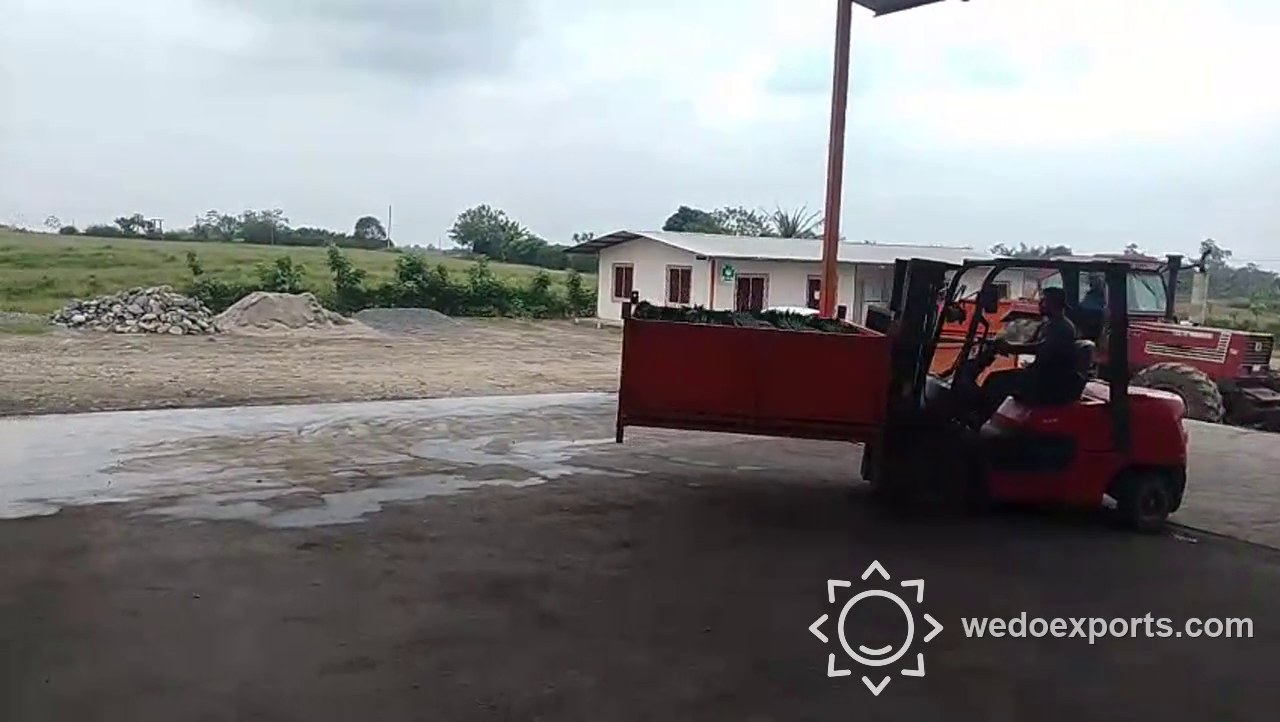 Loading video