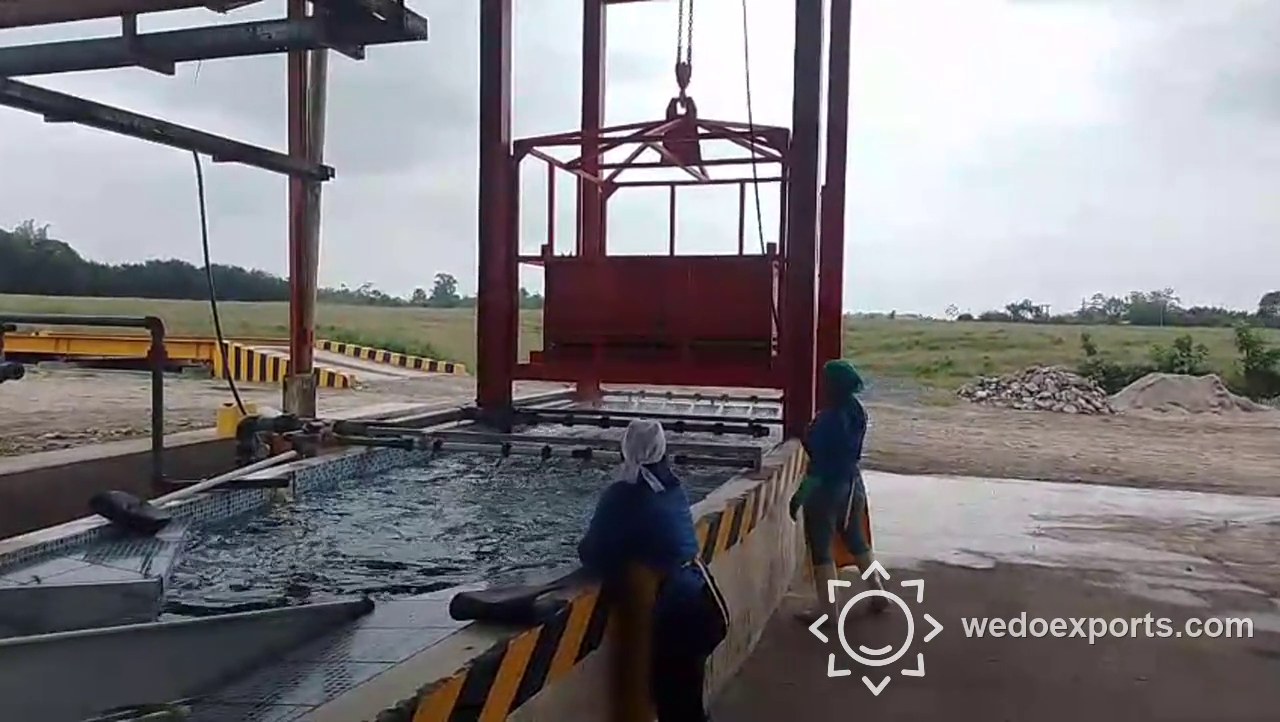 Washing process video
