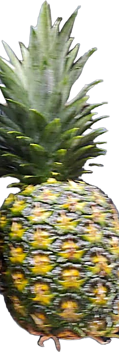 Fresh Ecuadorian pineapple