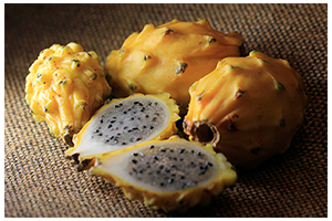 pitahaya